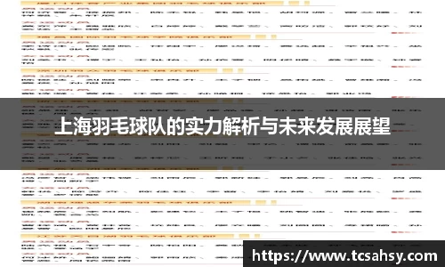 上海羽毛球队的实力解析与未来发展展望
